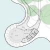 Concept Proposal